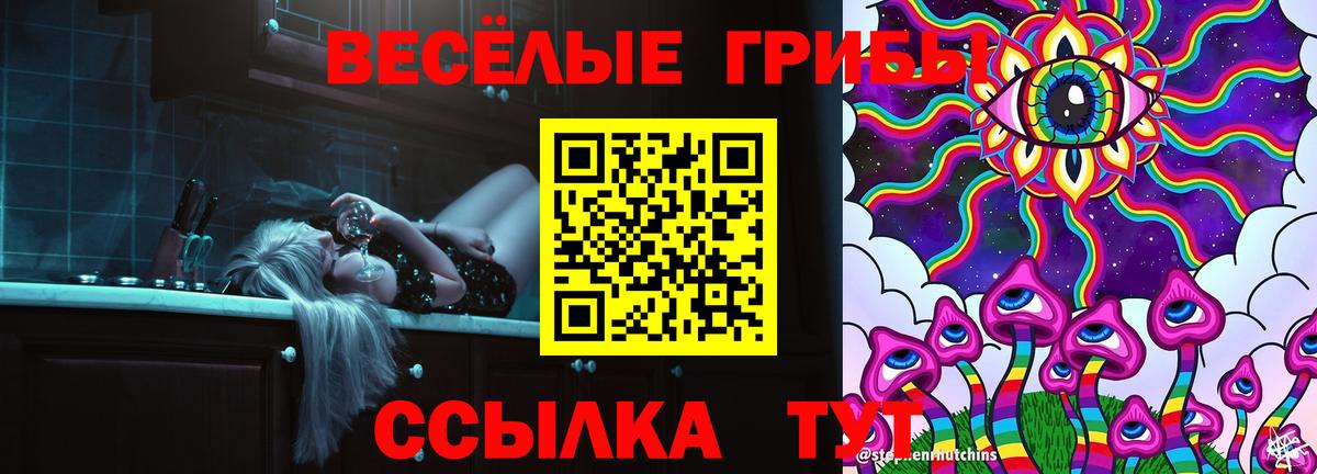 Псилоцибиновые грибы MAGIC MUSHROOMS  Галлюциногенные грибы мухоморы  Вход с VPN  Новосибирск 