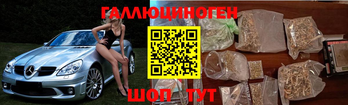 Псилоцибиновые грибы Cubensis Новосибирск